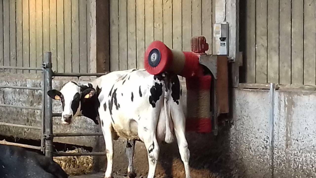Ferme Du Rupalley Frühstückspension